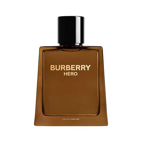 burberry erkek